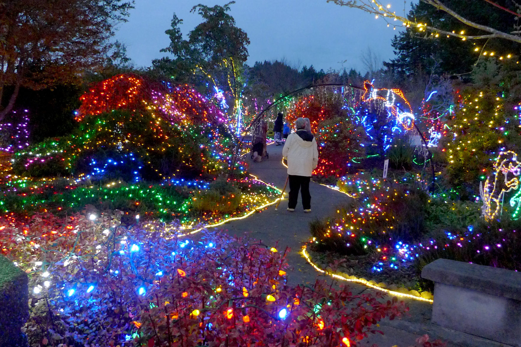 Lighted Path